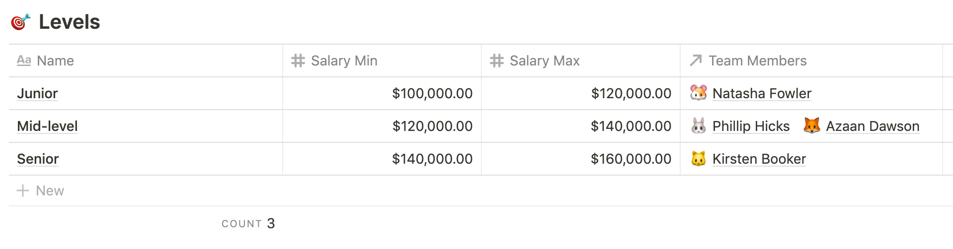 Team levels & salary ranges