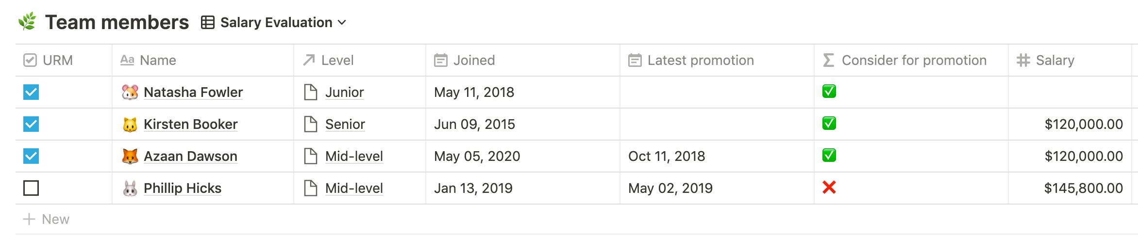 Salary evaluation view