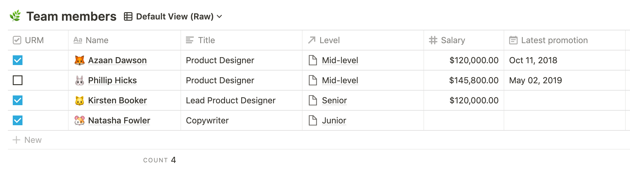 Team CRM raw table data